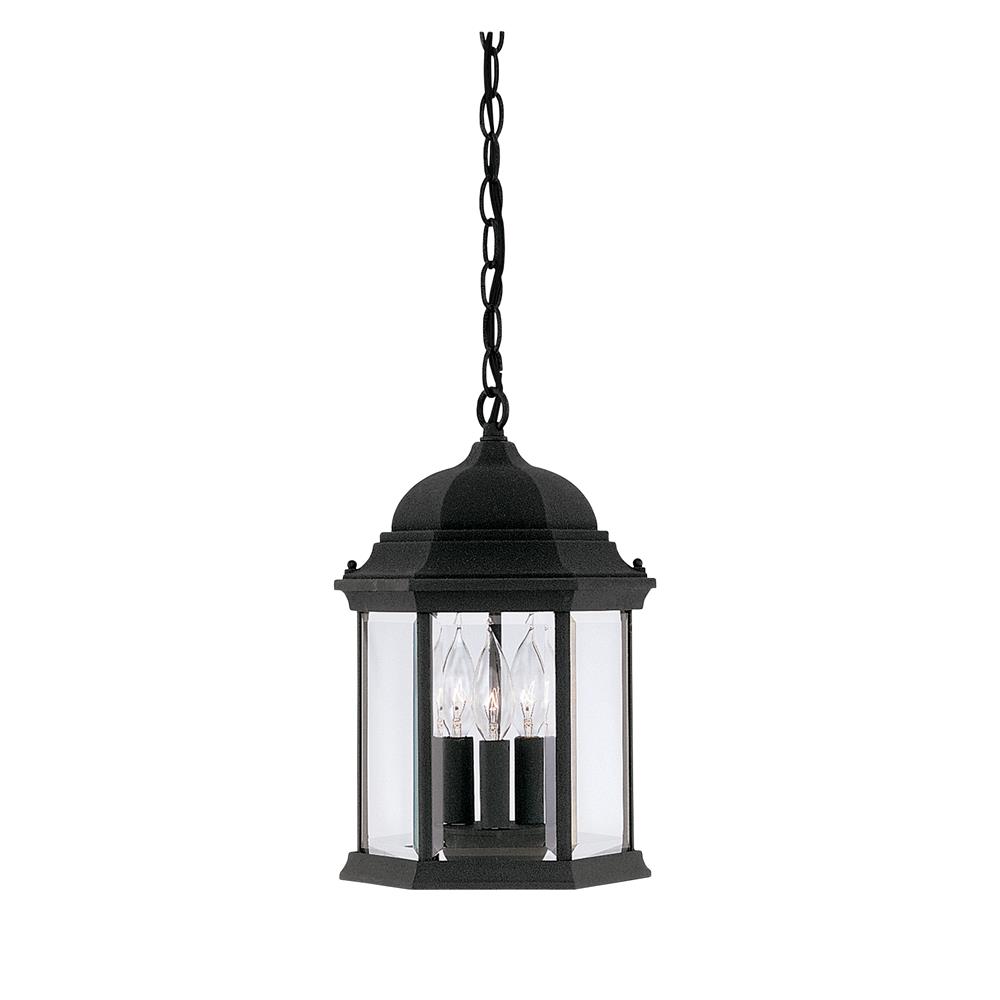 Designers Fountain 2984-BK 9 1/2 inches Cast Hanging Lantern in Black (Clear Glass)